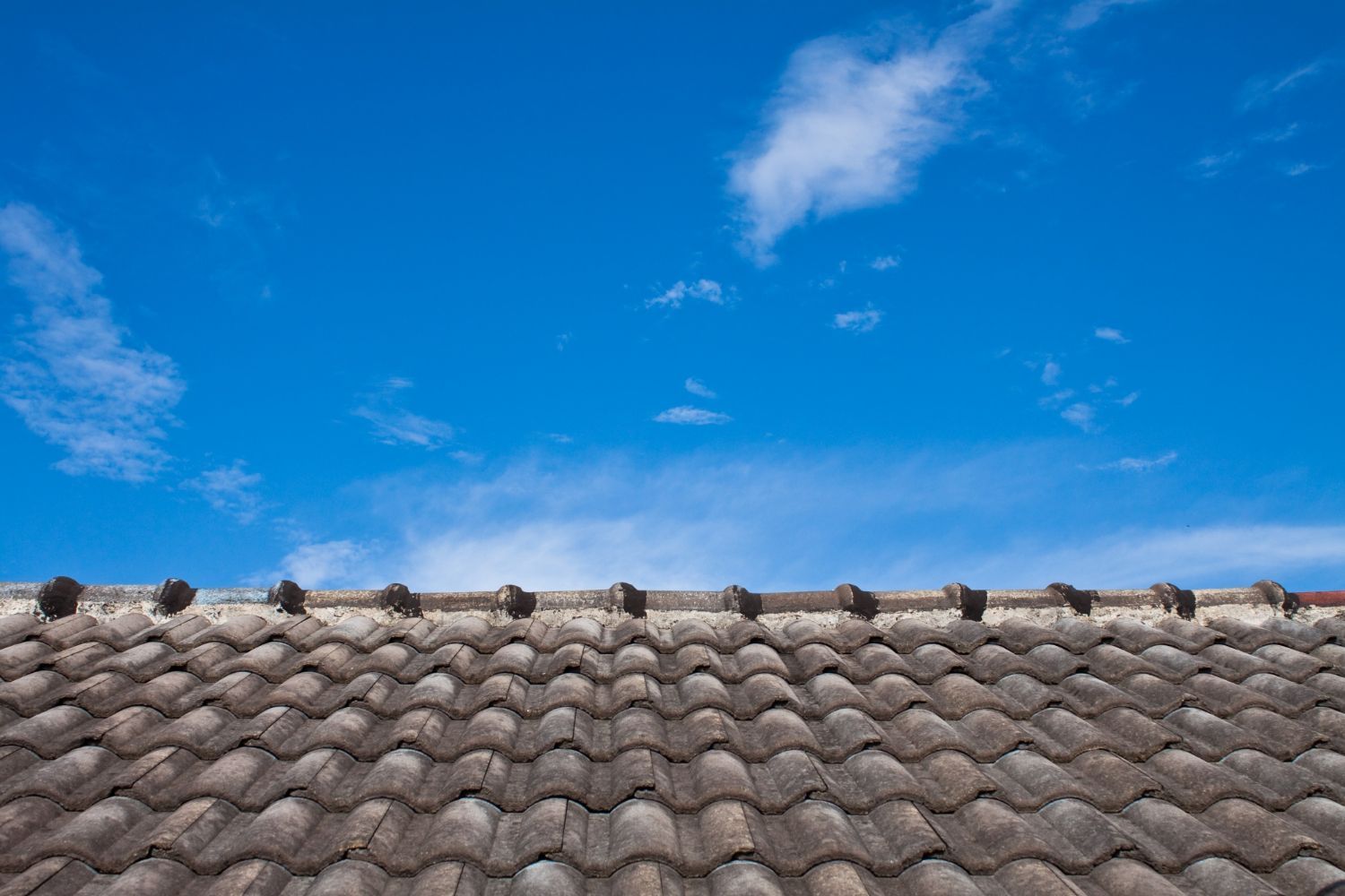 Blue sky above a weathered tiled roof with small dark birds perched along the ridge