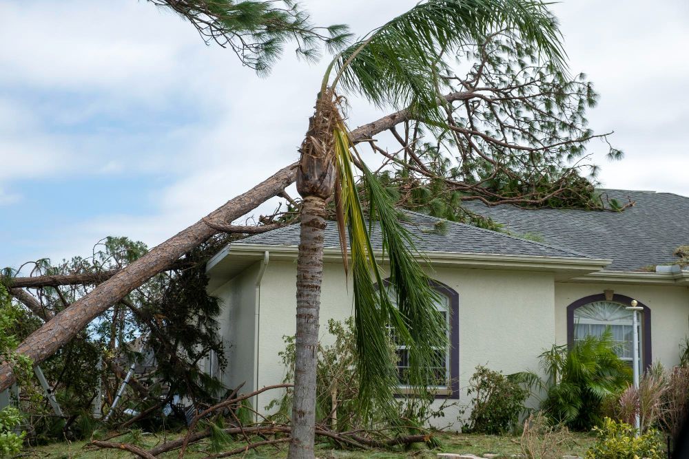 Fallen tree leaning on a house roof after storm damage