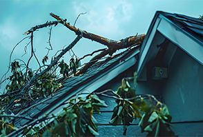 Fallen tree branches rest on a blue house roof after storm damage