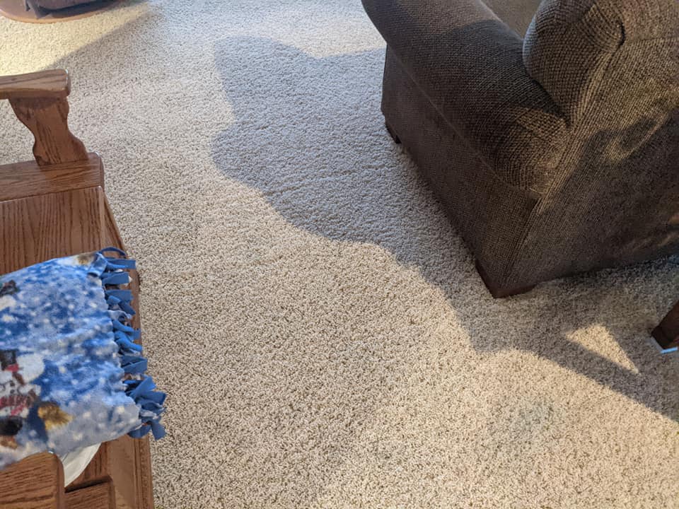 Carpet Cleaning — Homestead, IA — Corridor Floor Carev Carpet Cleaning — Homestead, IA — Corridor Floor Care