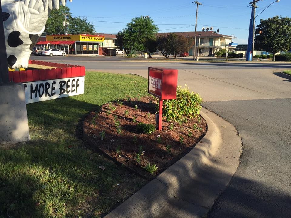 Commercial lawn maintenance of David's Burger