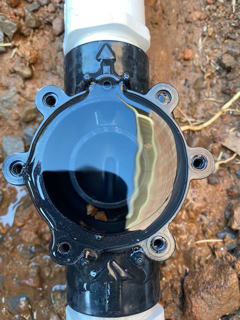New services shows newly installed irrigation.