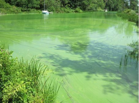 lake management