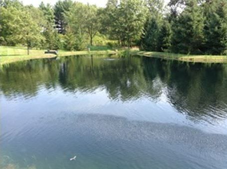 lake management