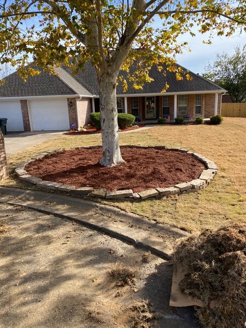 a house with a tree in the middle of the yard