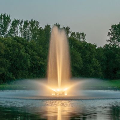 Pond Management / Water Features
