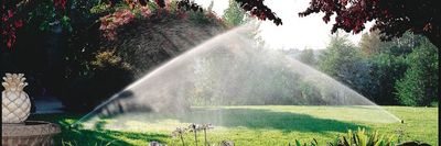 Irrigation/Backflow Testing