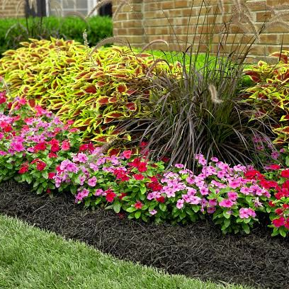 Beautiful Flowers in the garden made purchased by SouthernGrounds.
