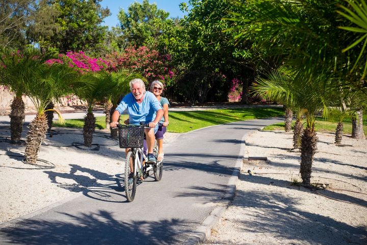 Two cyclists riding on a sunny paved path lined with palm trees and pink flowers.
