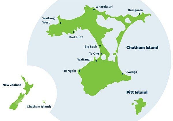 South Island Tour