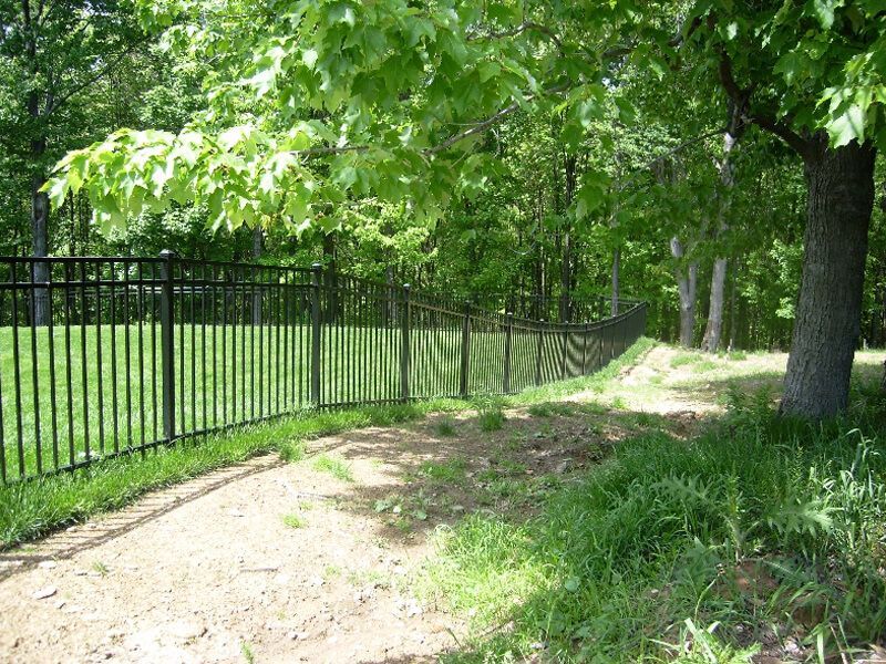 Tree-lined dirt path beside a black metal fence in a sunny park