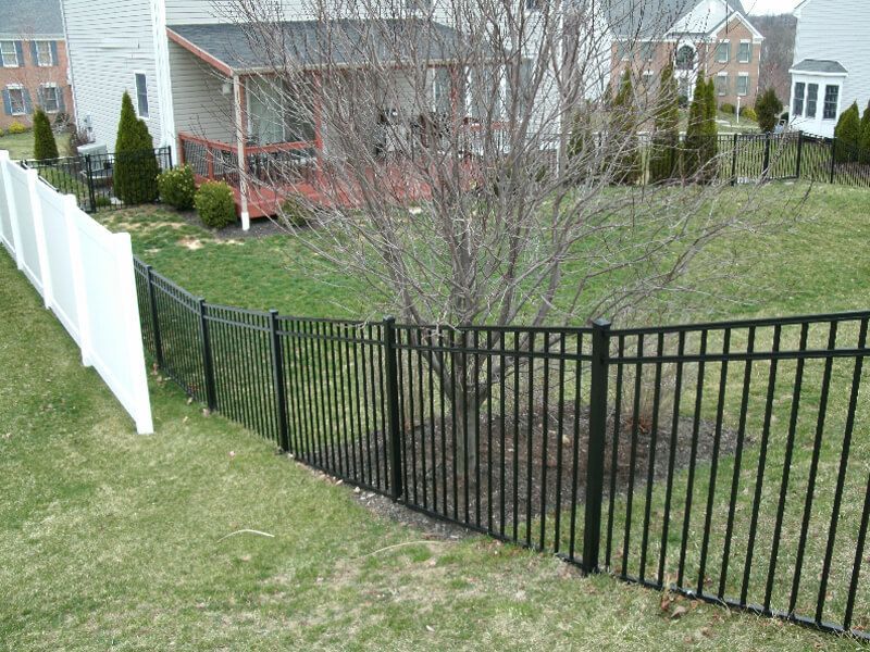 Black metal fence along a grassy yard beside a white fence and suburban homes.