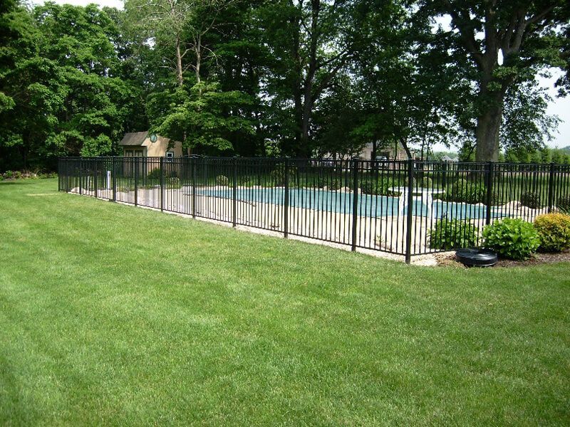 Backyard pool surrounded by black metal fence and green lawn, with trees in the background