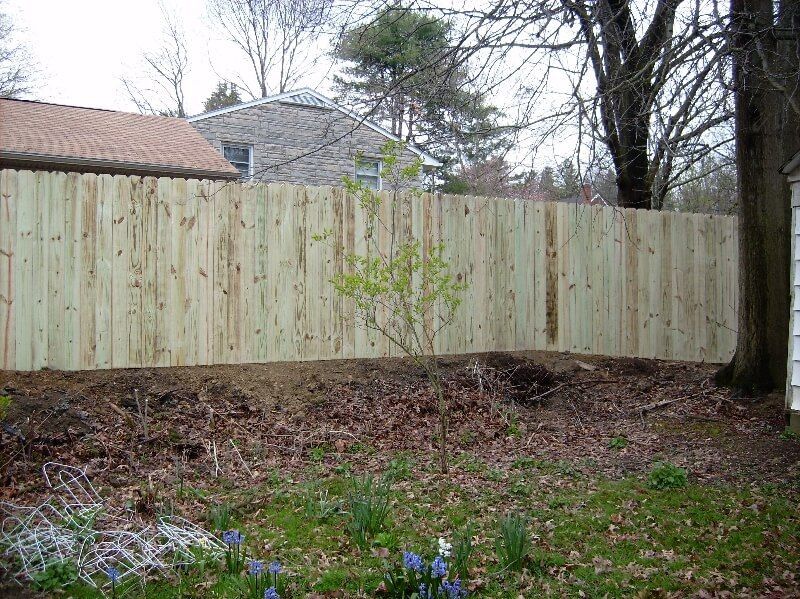 Backyard with a wooden fence, leaf-covered ground, and a small sapling in the center