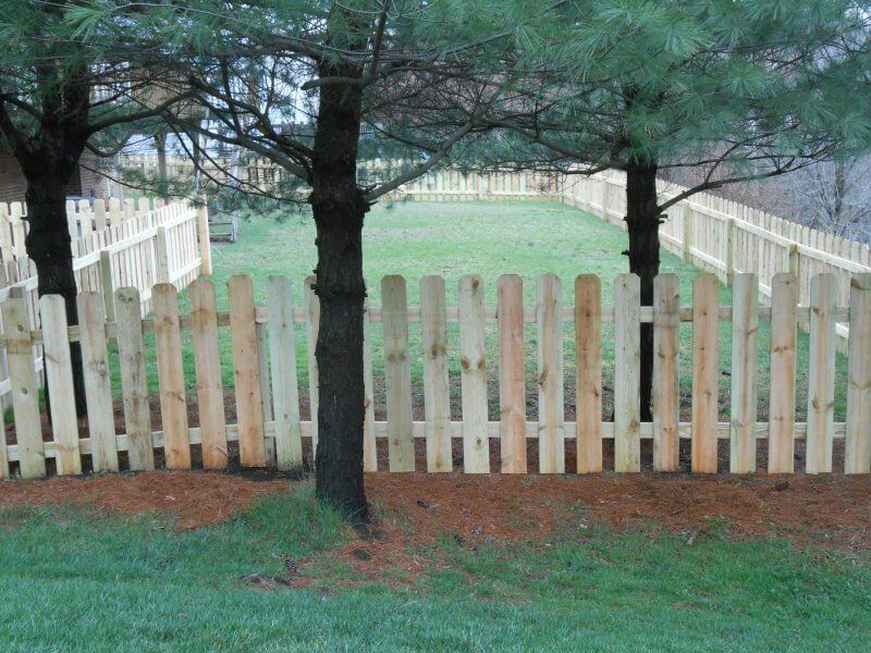 White picket fence behind two trees in a grassy yard