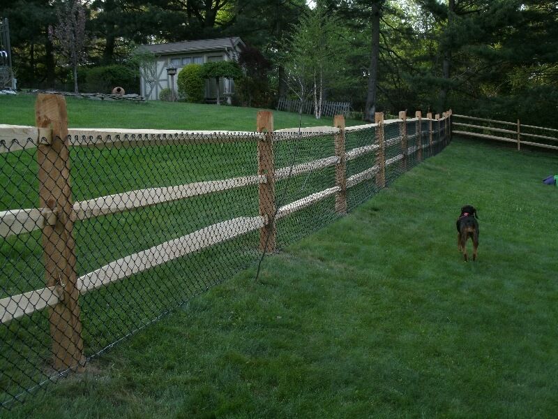 Wooden fence lining a grassy yard beside a path, with a small dog standing on the lawn.