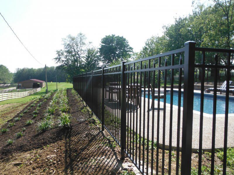 Black metal fence beside a backyard pool and garden beds on a sunny day