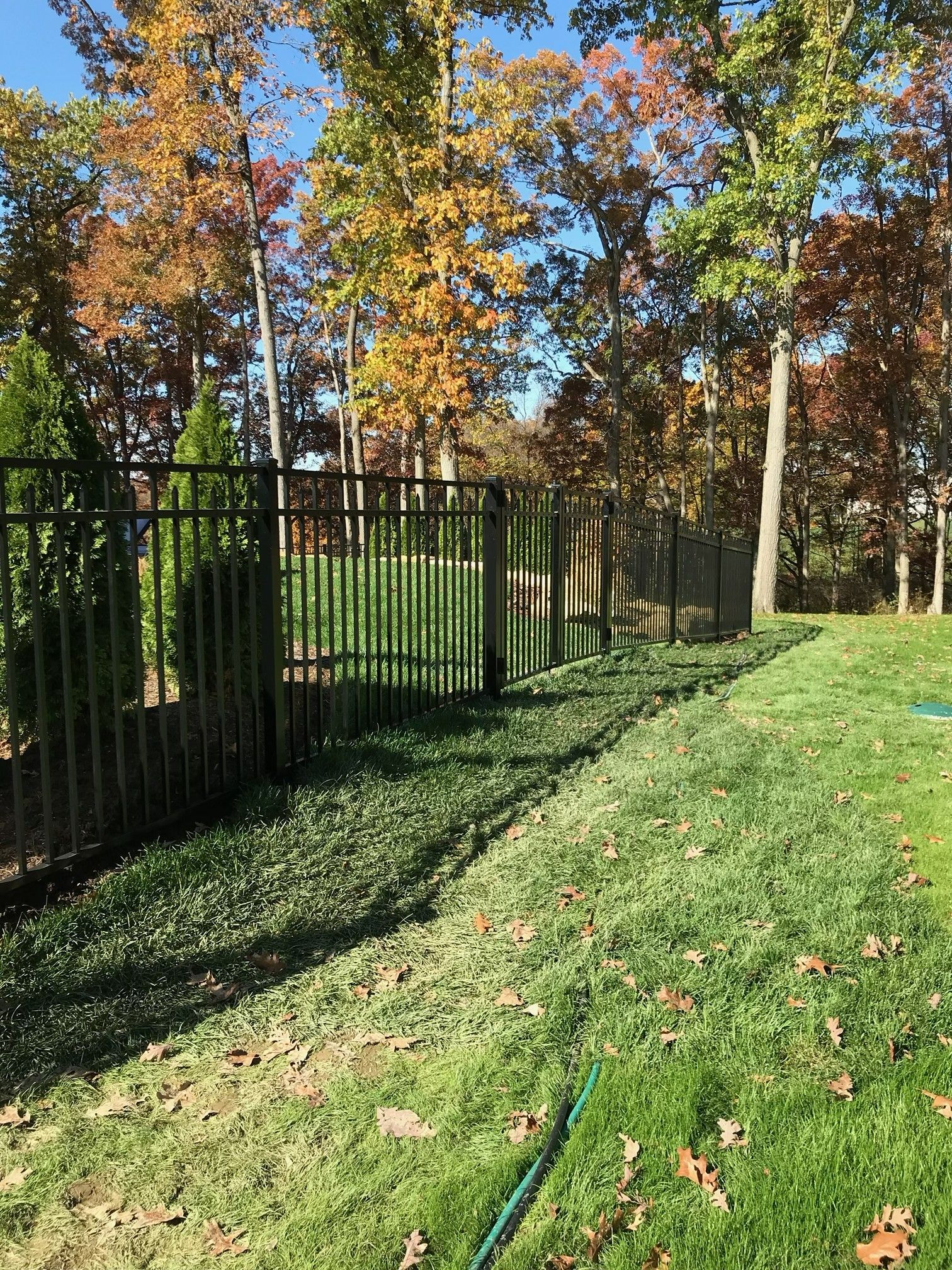 Black fence along a grassy yard with autumn trees and blue sky