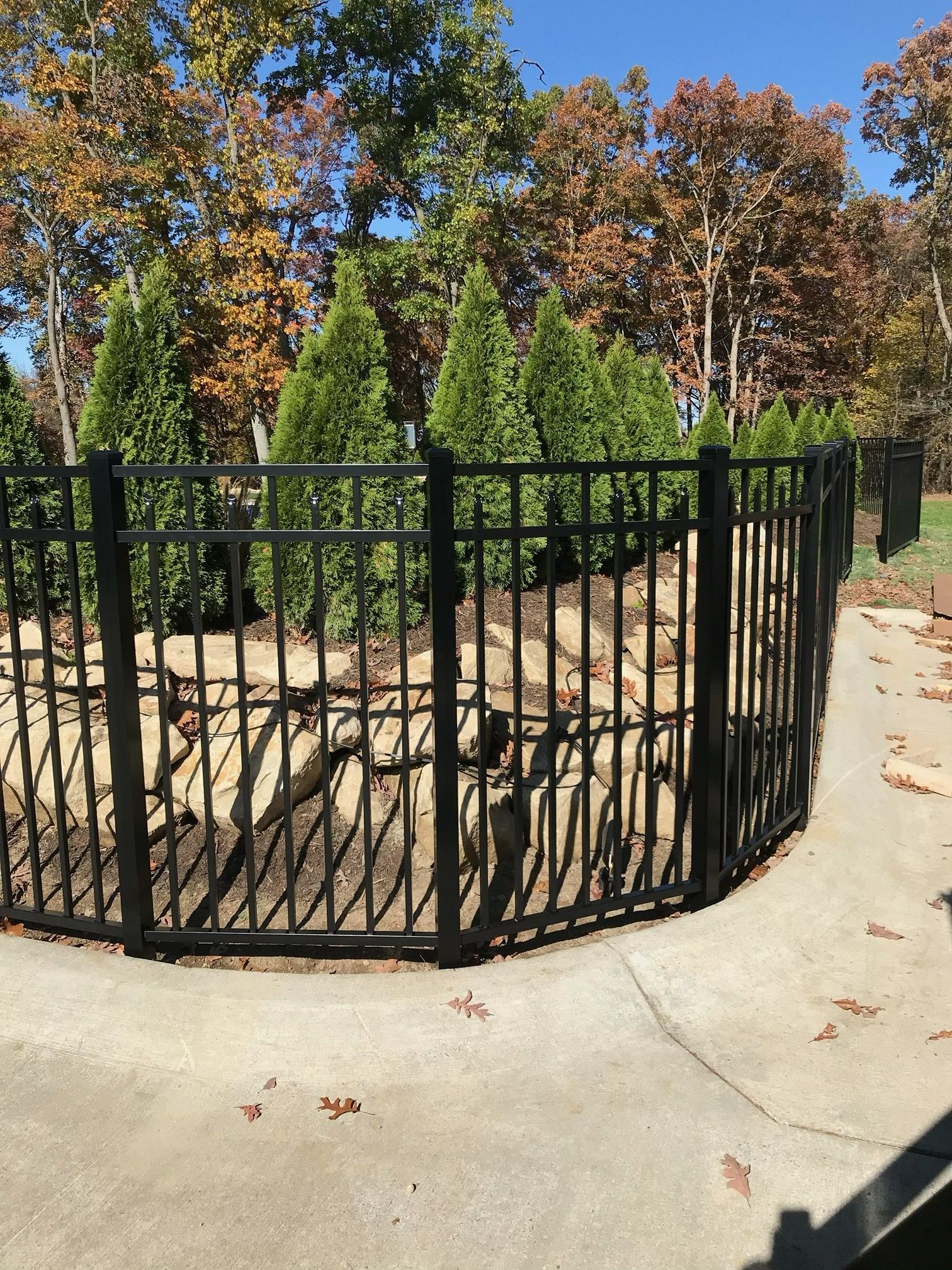 Black metal fence around small conifers in a landscaped park beside a concrete path.