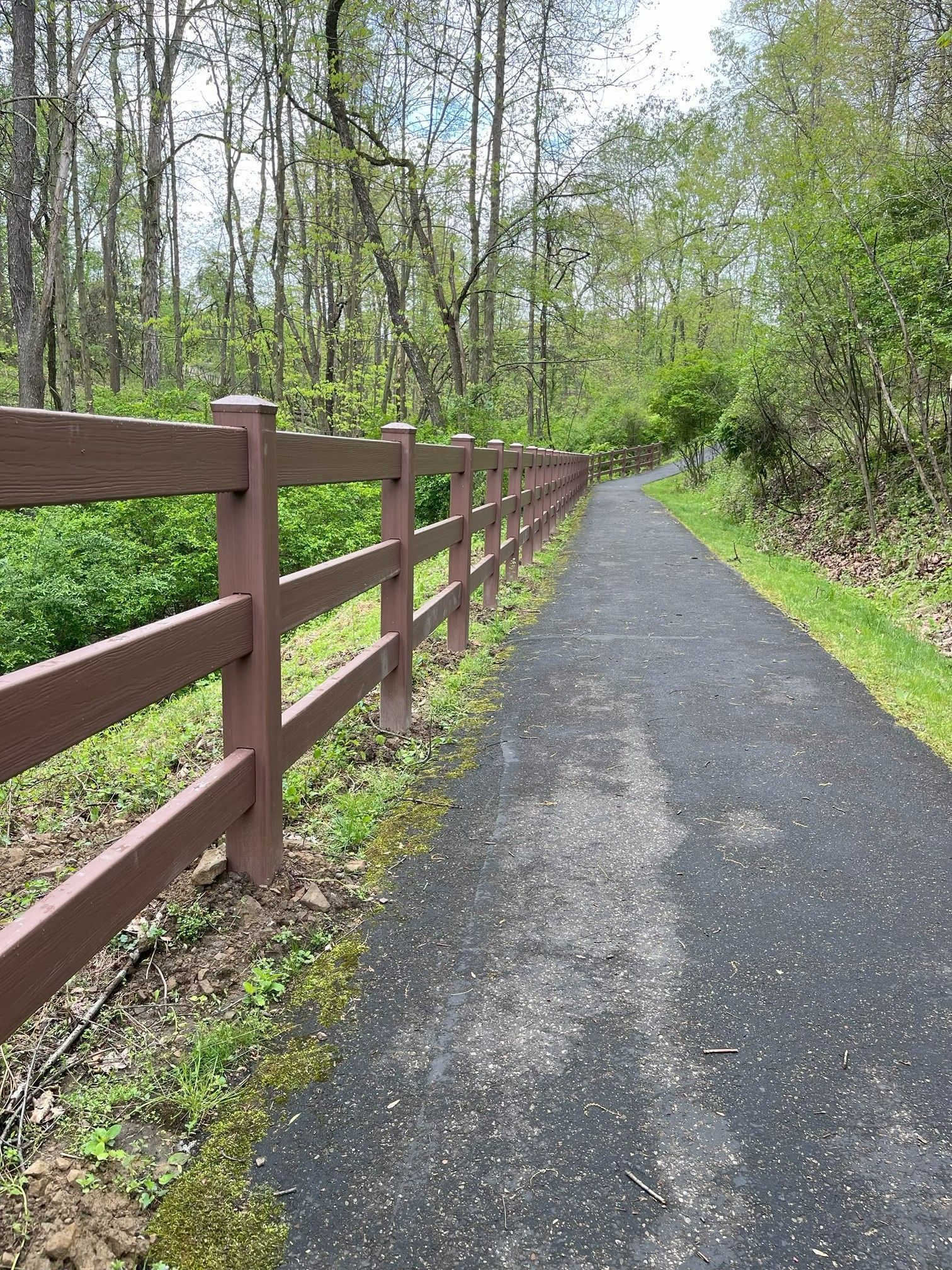 Paved trail beside a brown wooden fence through a green wooded area in spring