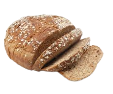 pane1