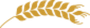 spiga di grano