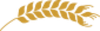 spiga di grano