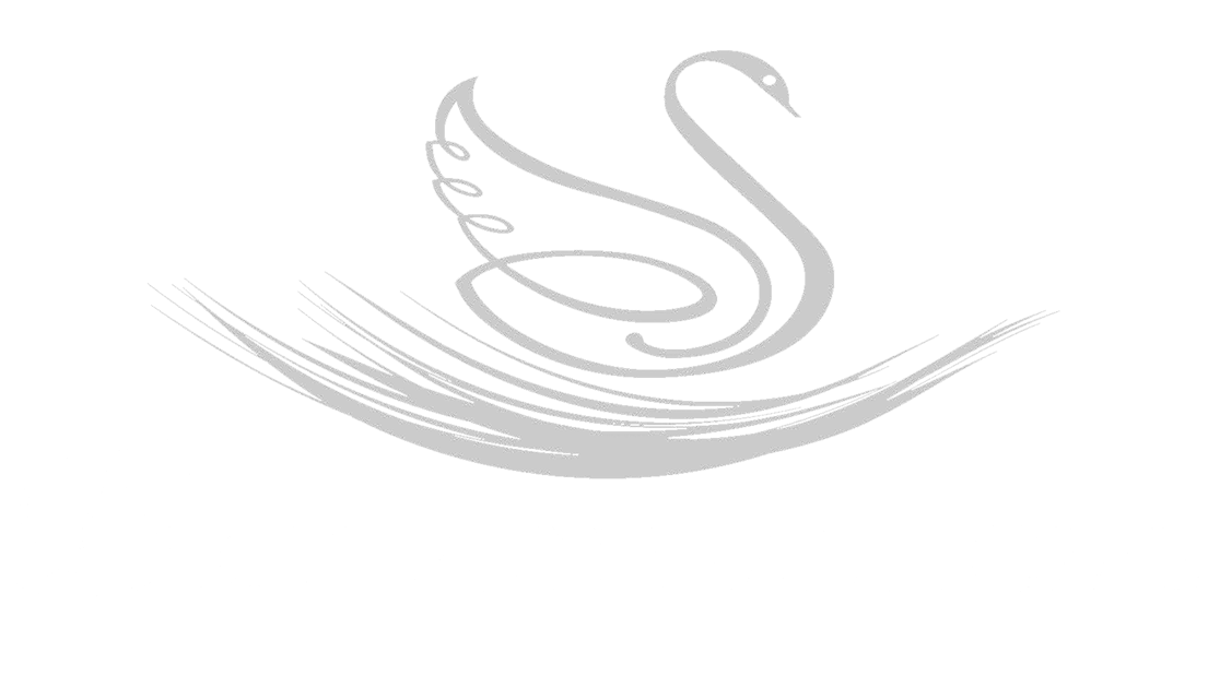 Stylized light gray swan logo with sweeping curved lines on a white background