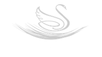 Stylized light gray swan logo with sweeping curved lines on a white background