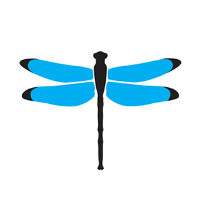 Logo of Dragon Digital Marketing Digital Marketing Company serving Maryland
