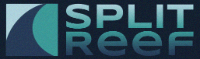 Logo of Cynexis Media - Digital Marketing Company in Ohio Logo of Cynexis Media - Digital Marketing Company in Ohio