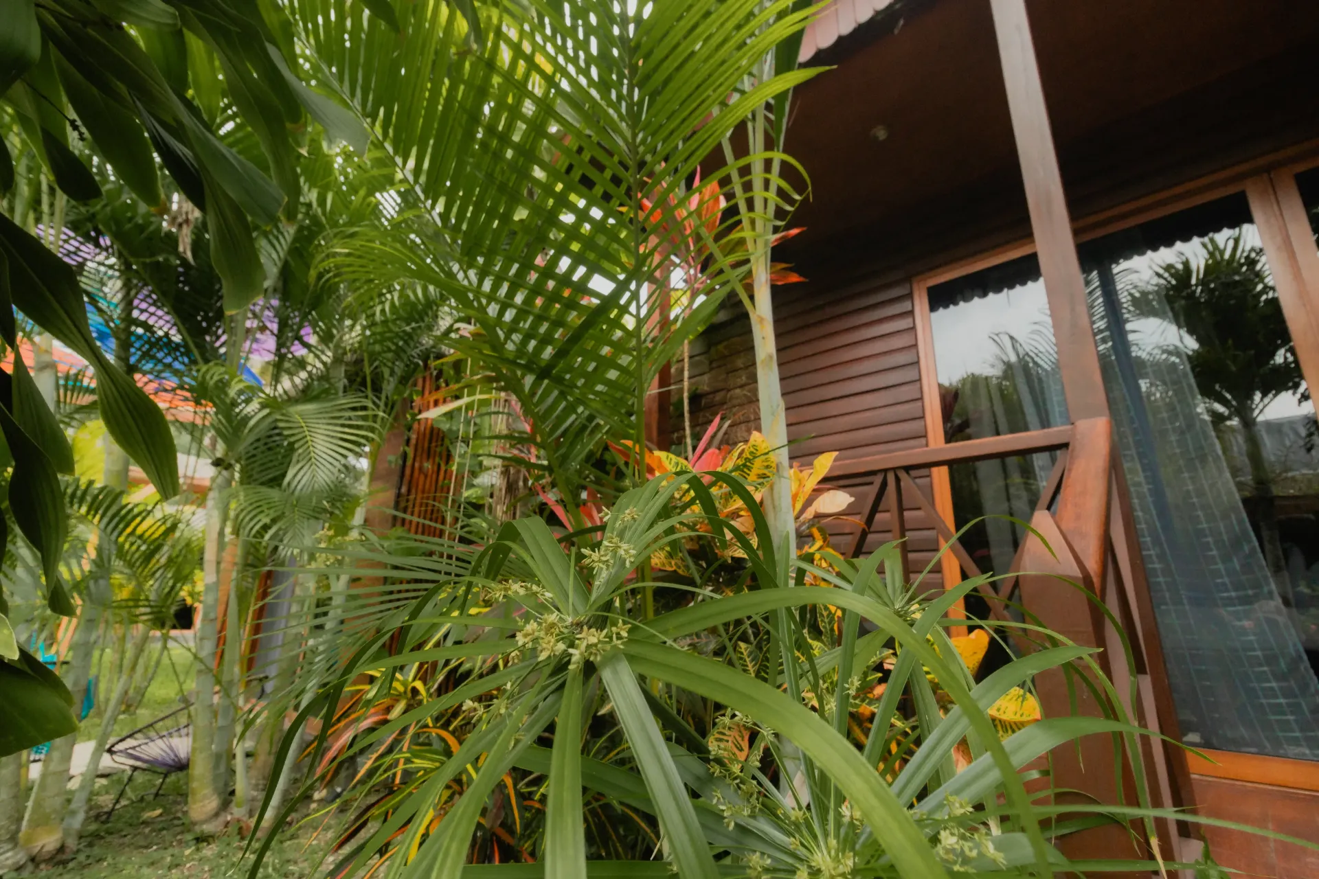 Plantas tropicales frente a una casa de madera con puerta de cristal y barandilla en el porche.