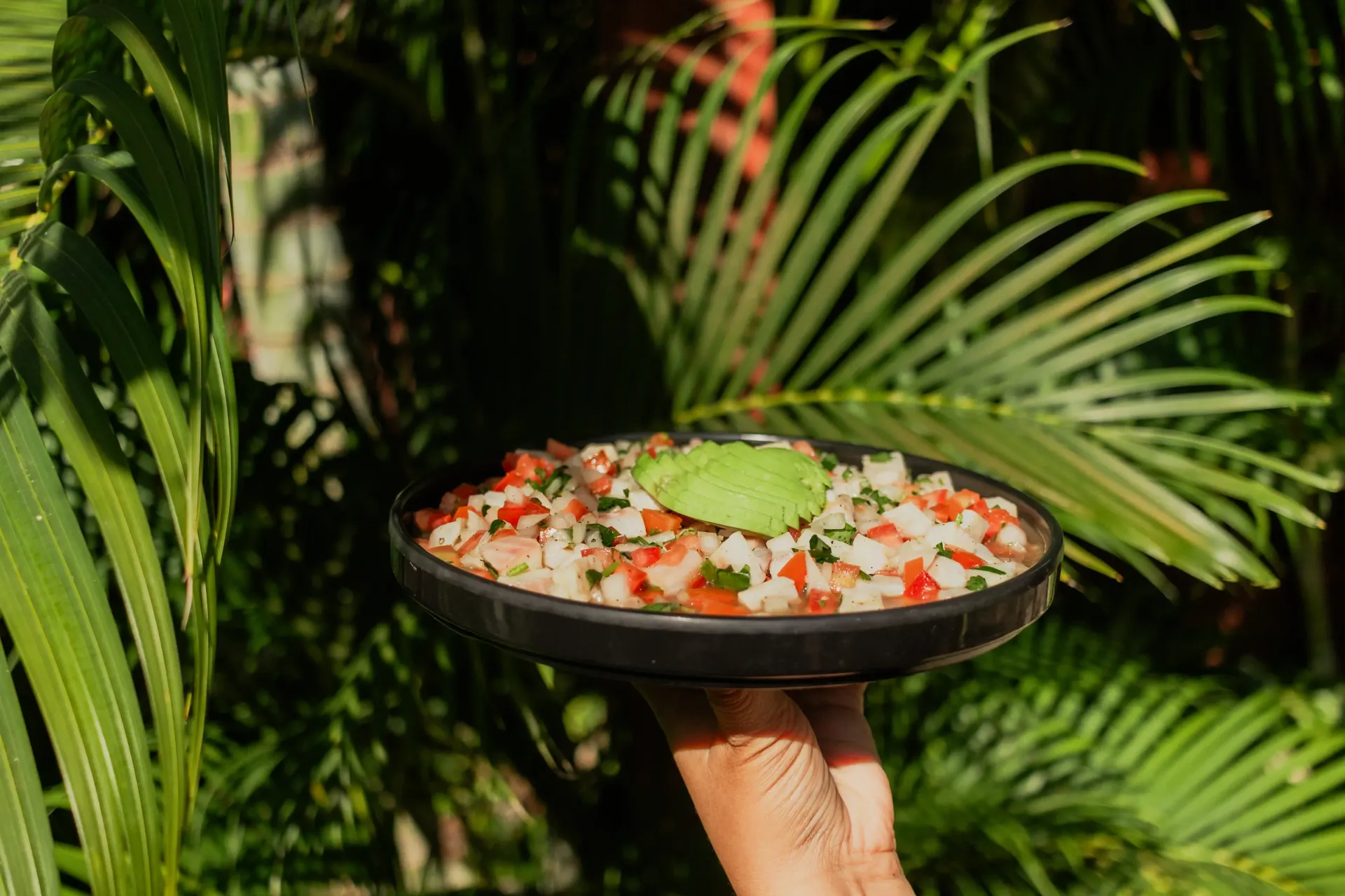 Una mano sostiene un cuenco negro con comida picada de colores frente a unas hojas de palmera de un verde exuberante.