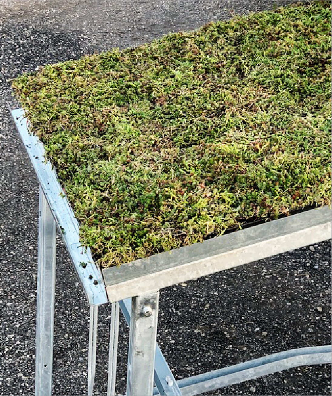 Et stykke græs sidder på toppen af ​​et metalbord.