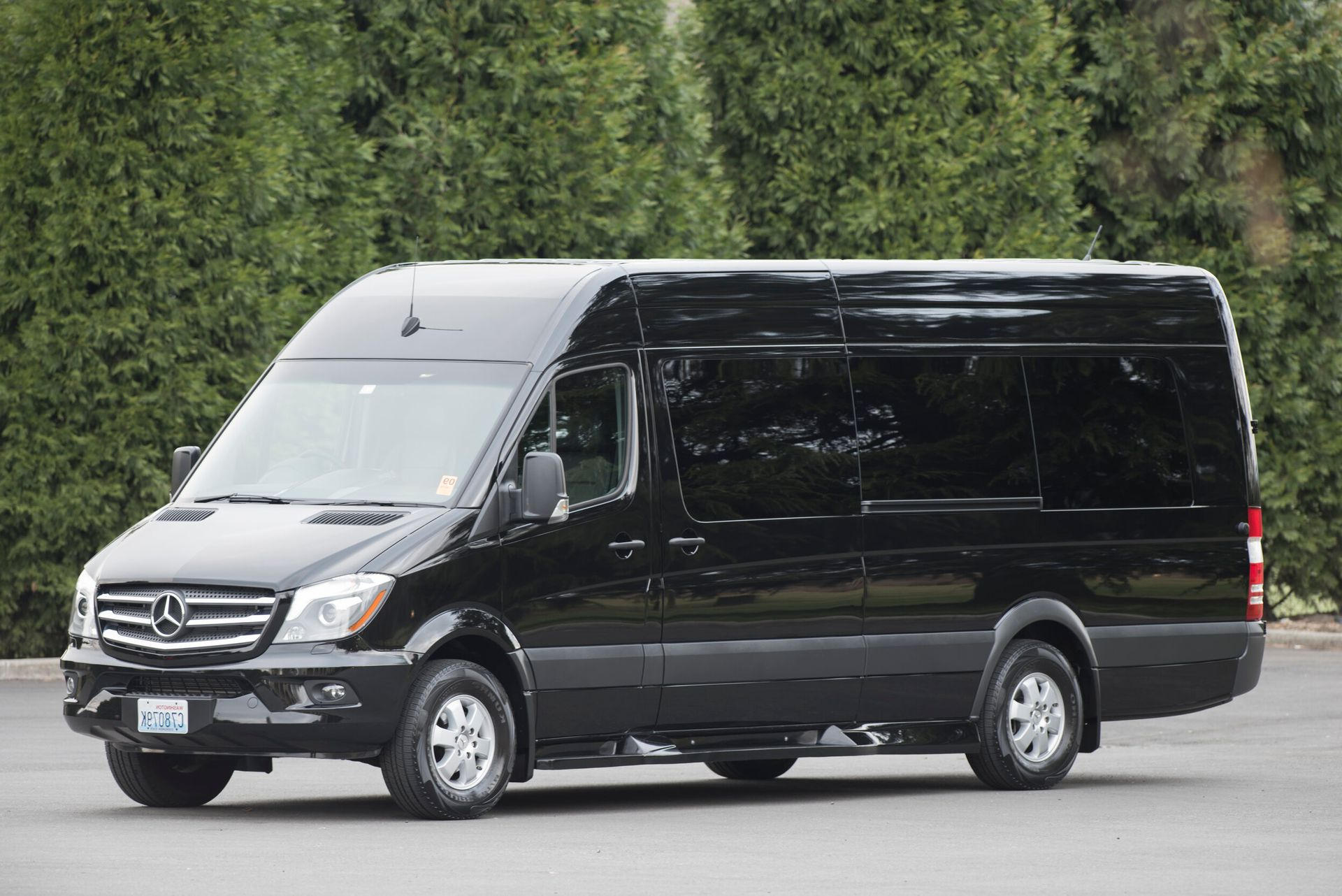 A black Mercedes-Benz Sprinter passenger van parked outdoors with green trees in the background.
