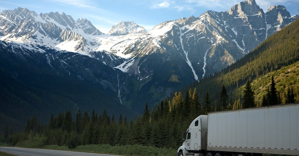 two movers are holding a chair and a rug in front of a van