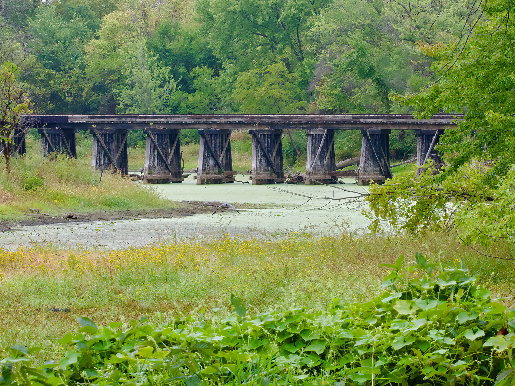 CTA Image