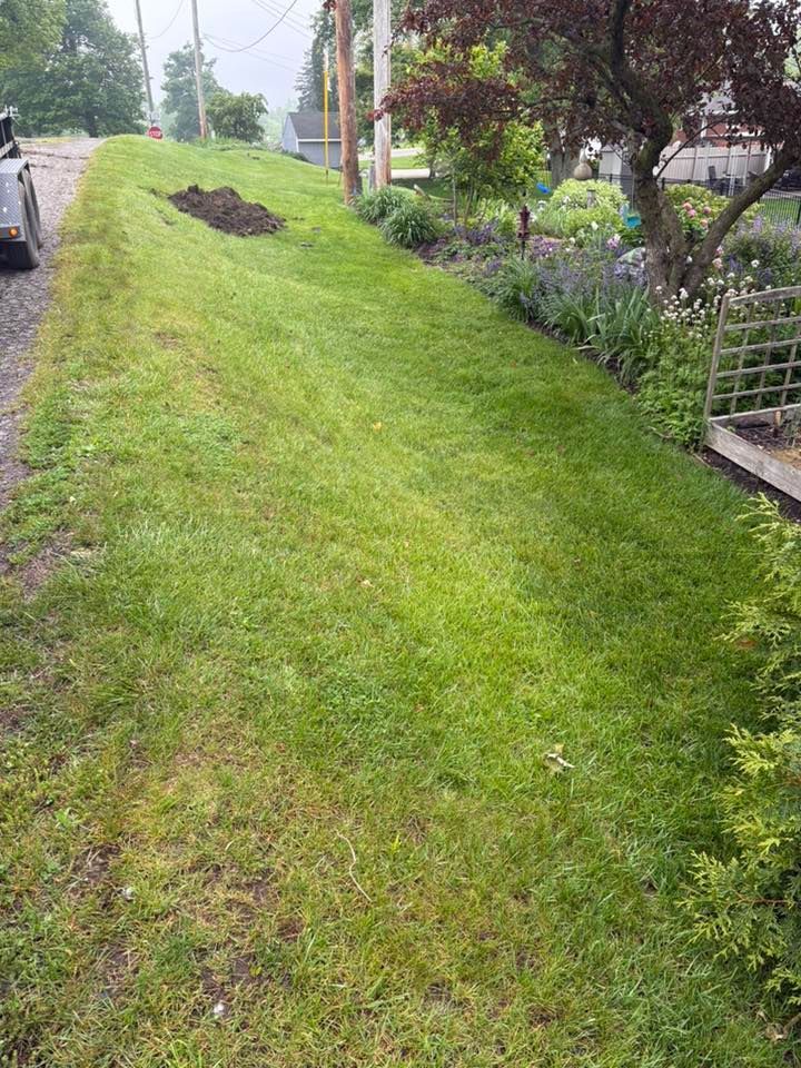 A grassy embankment sloping downward toward a gravel driveway, with a small patch of bare soil and a garden to the right.