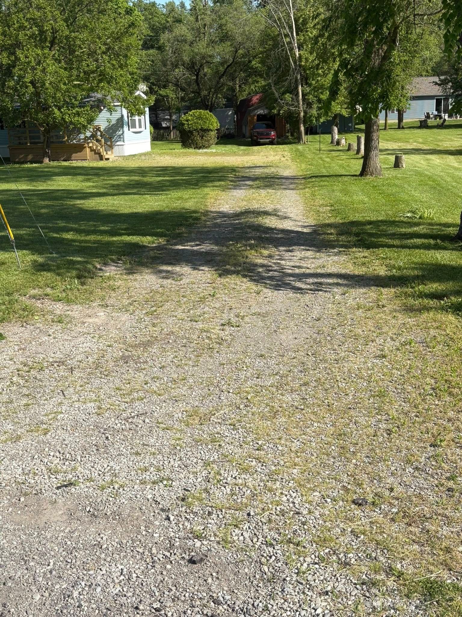 A gravel driveway leads through a sunny, tree-lined yard toward a house in the distance.
