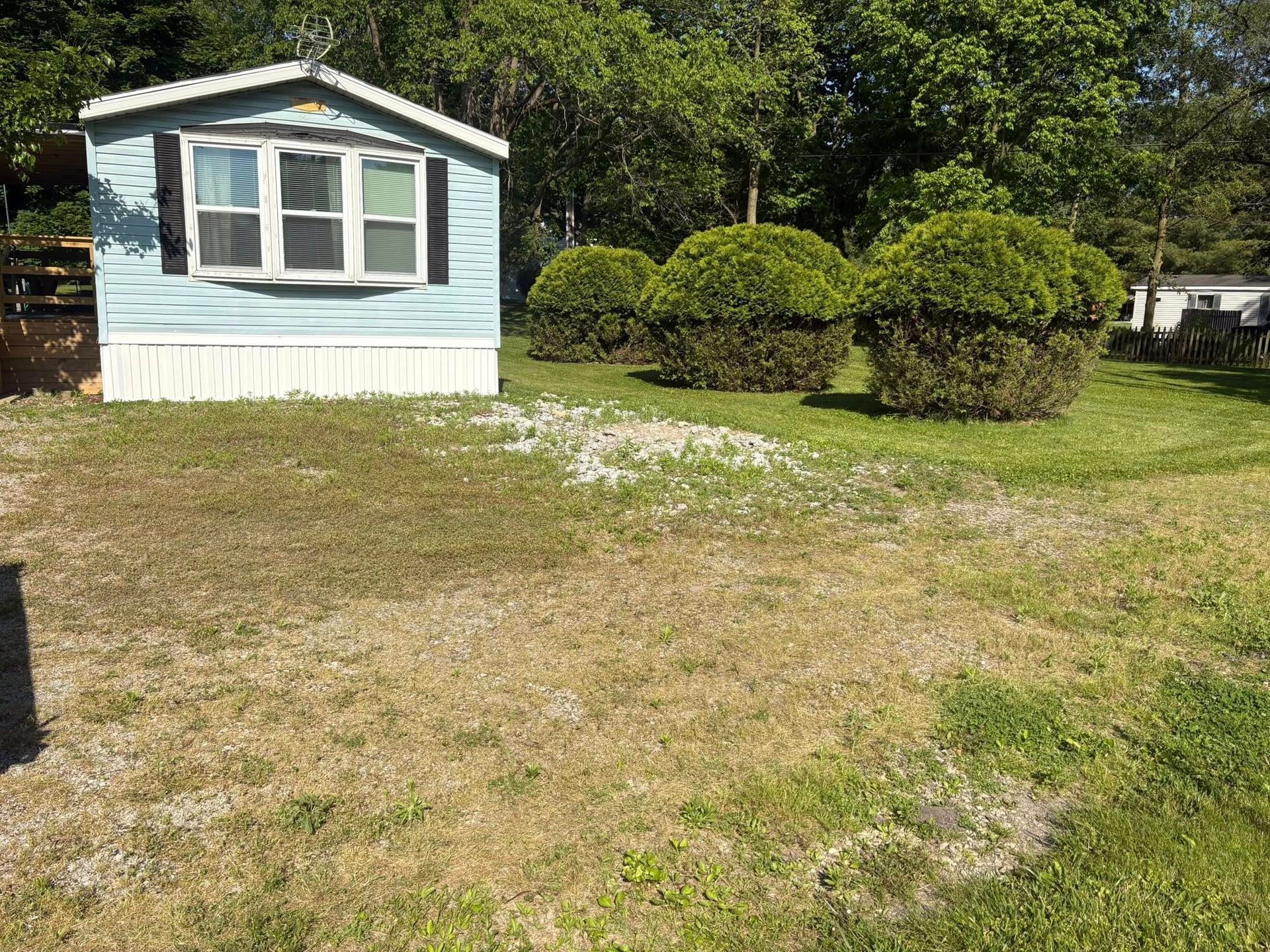 A light blue mobile home with white trim sits on a grassy, gravel-patched lot beside several large, rounded bushes.