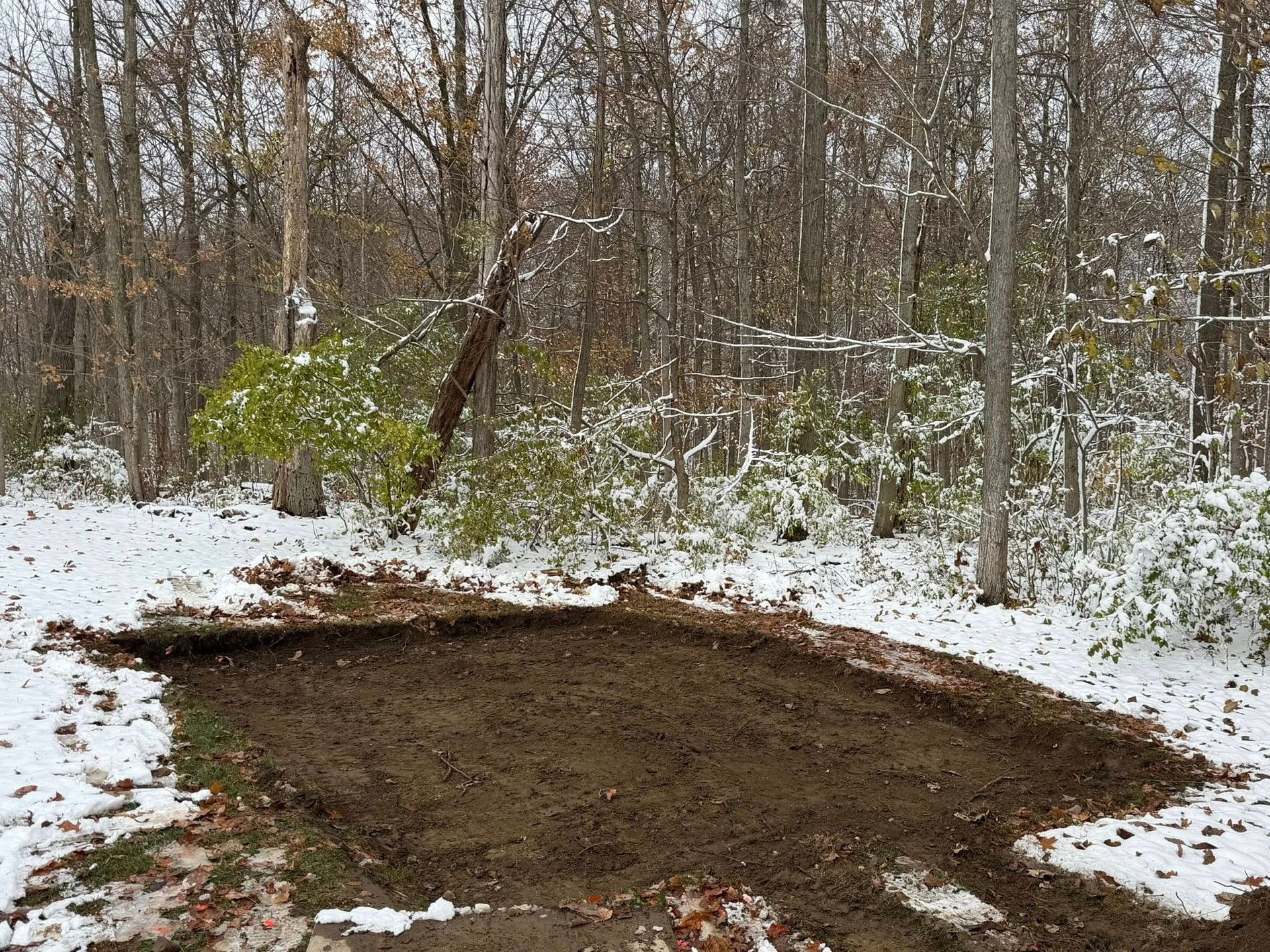 A cleared, rectangular patch of dark brown dirt surrounded by snow-covered ground and a wooded forest.