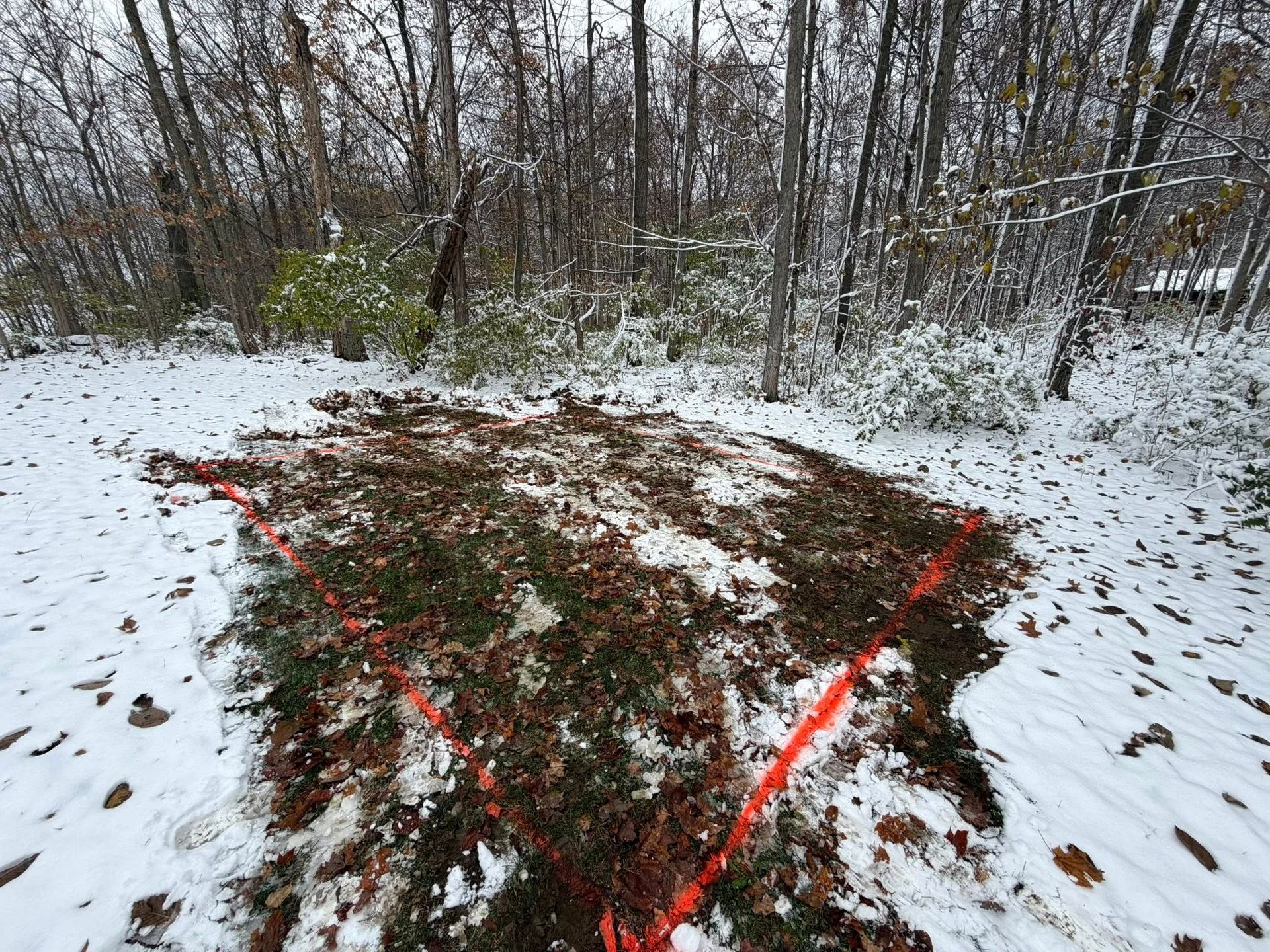A square area of brown leaves and earth, outlined by bright orange tape, sits in a snowy wooded clearing.