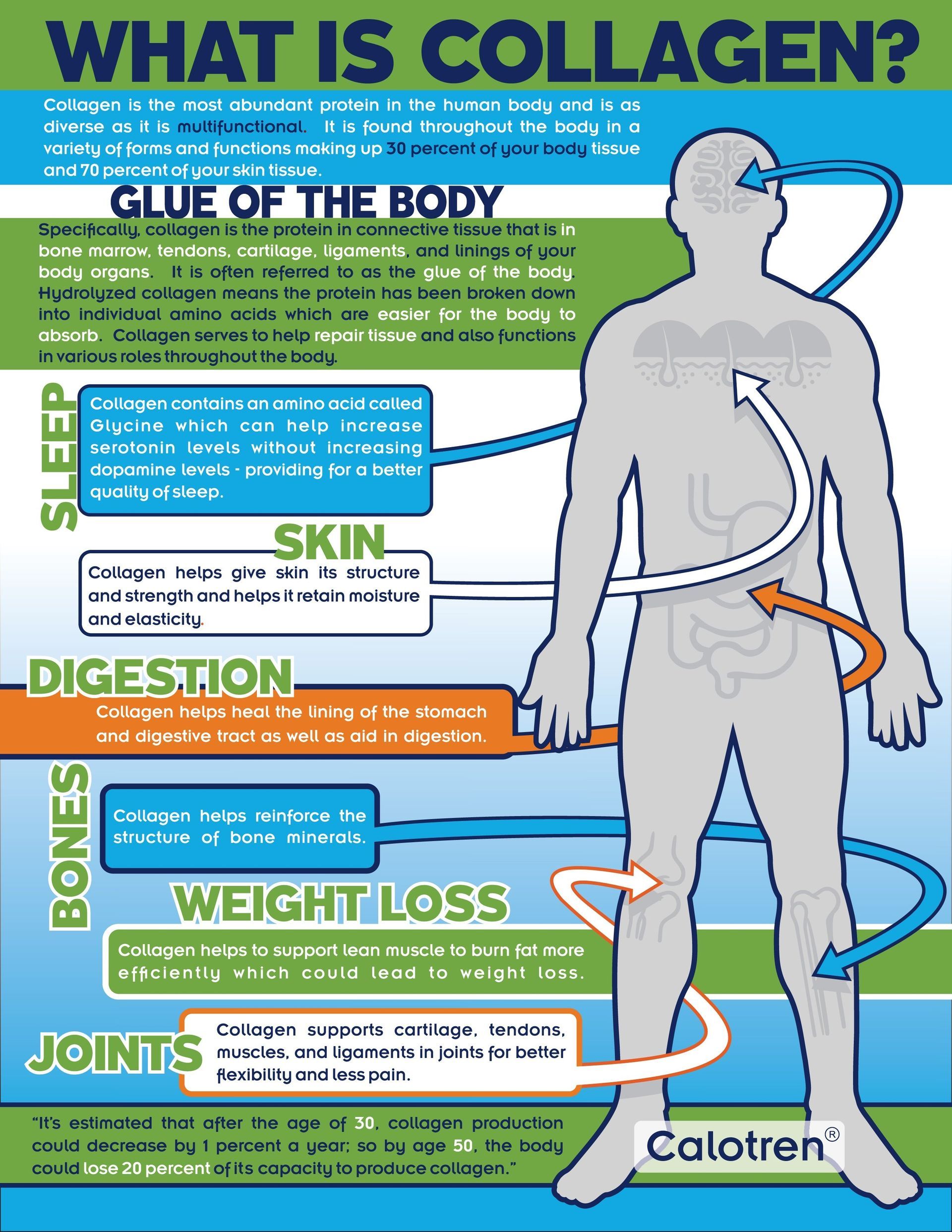 Diagram explaining collagen's benefits; it shows a body with arrows pointing to areas like sleep, skin, and bones.
