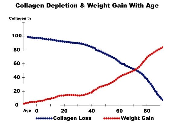 Graph showing collagen loss and weight gain increasing and decreasing with age.