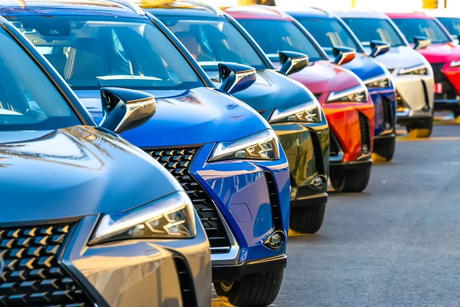 Willcox Fleet Glass Services