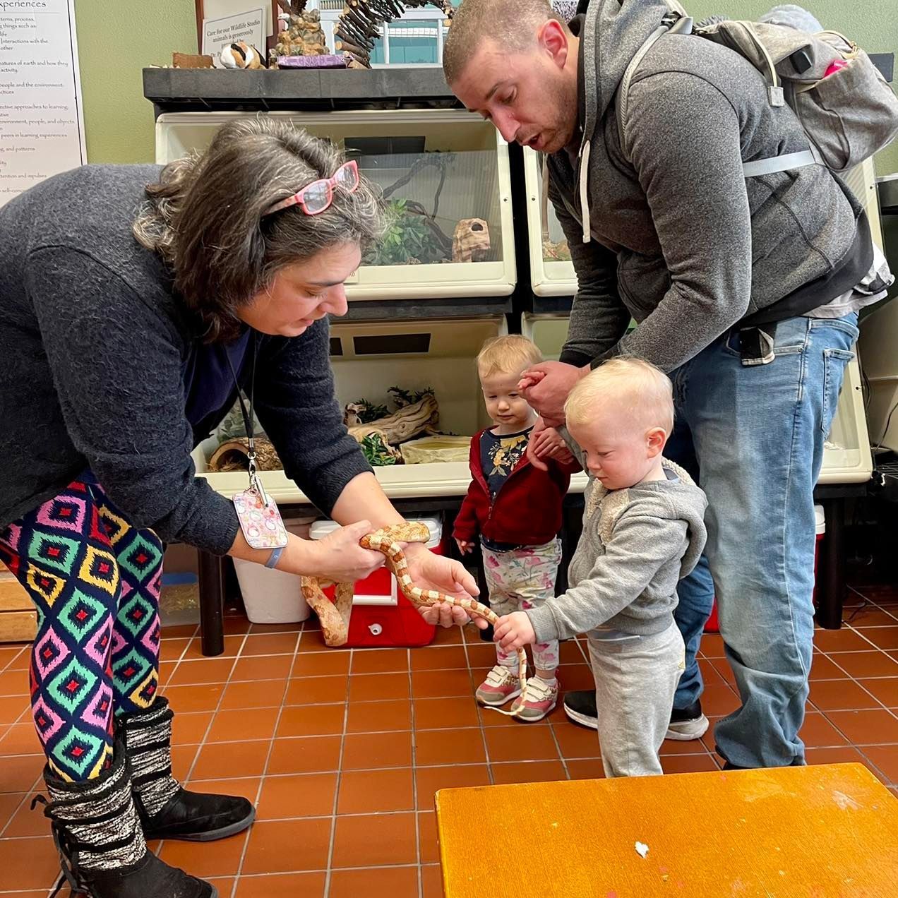 Wildlife Studio at Imagine Nation Fun family things to do in Connecticut, Imagine Nation's Wildlife Studio