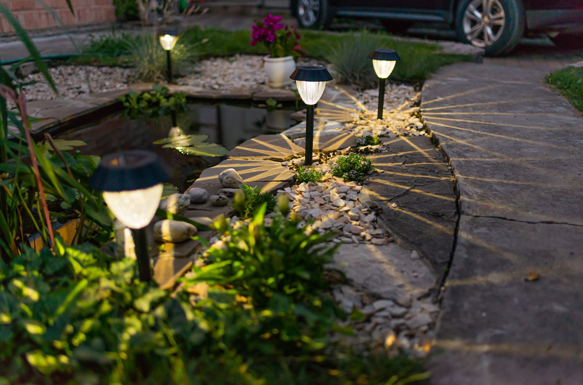 Solar-powered lights illuminate a garden path alongside a small pond and greenery