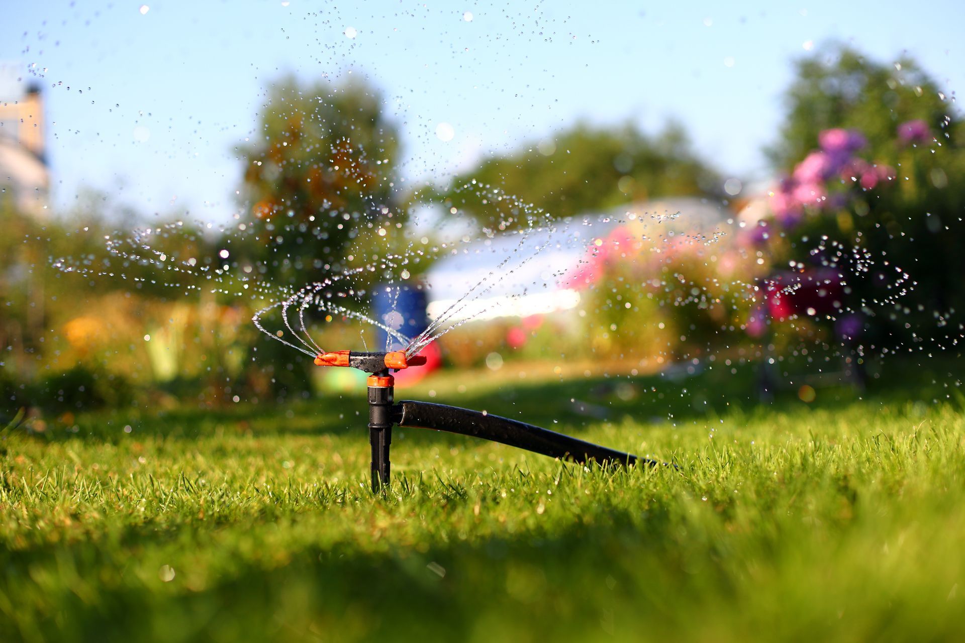 Sprinkler sprays water on green grass in a sunny garden, with blurred flowers in the background