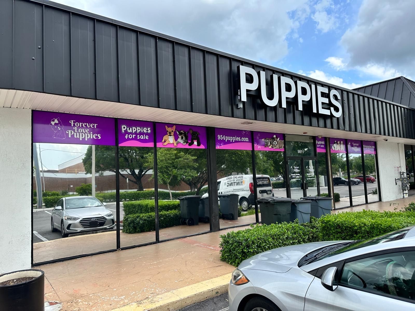 The outside of a puppy store with cars parked in front of it.
