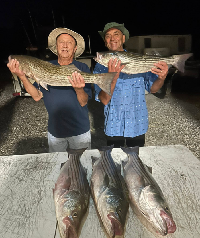 Two men holding striped bass, three fish on a table. Outdoors at night, wearing hats, smiling.
